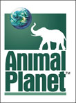     Animal Planet