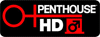           Penthouse